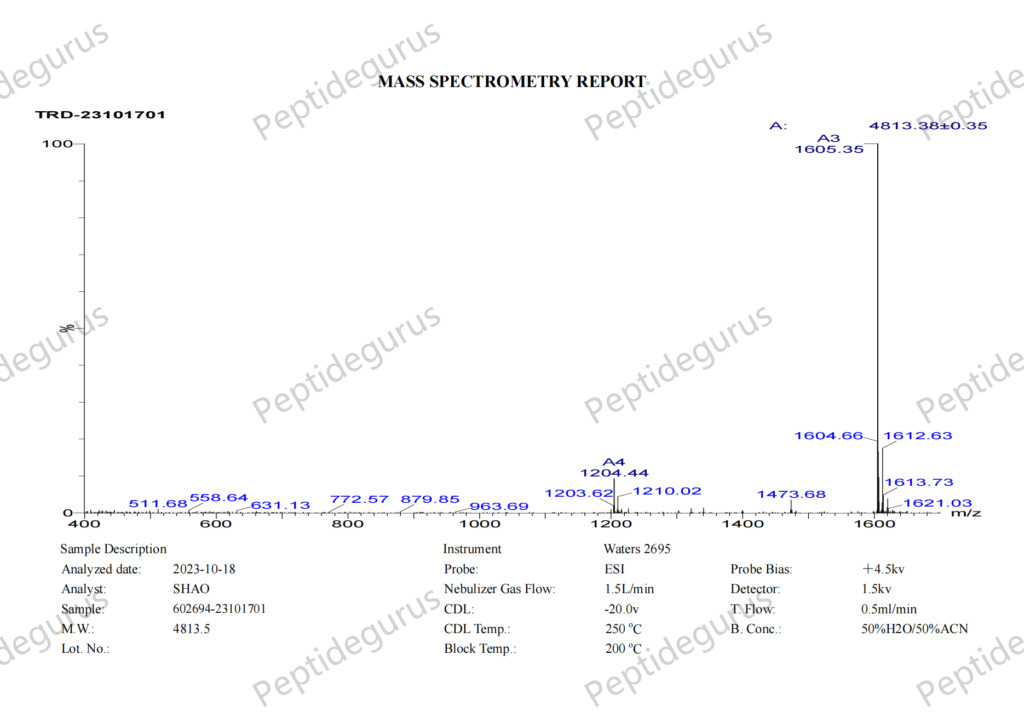 602694 MS 23101701MS_00